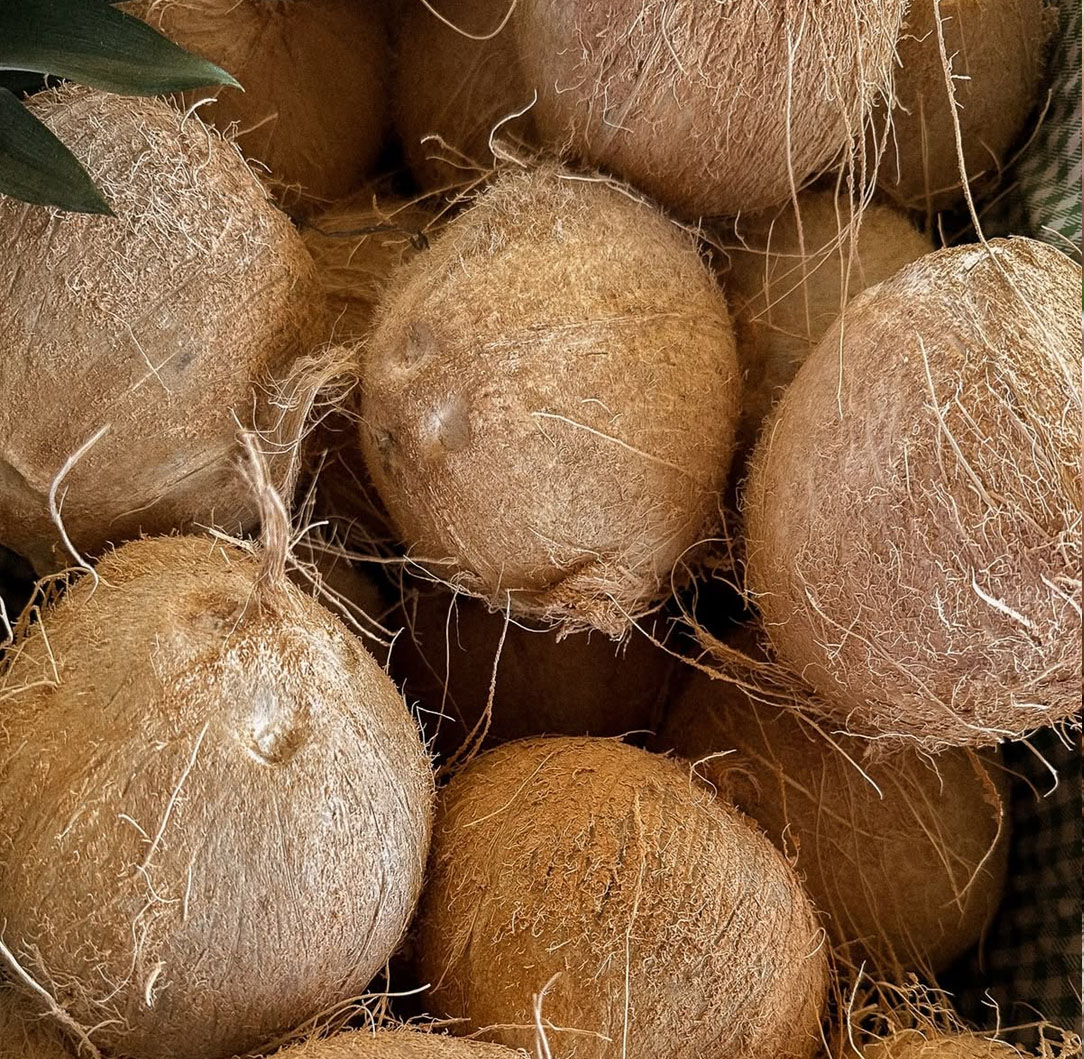 Coconut