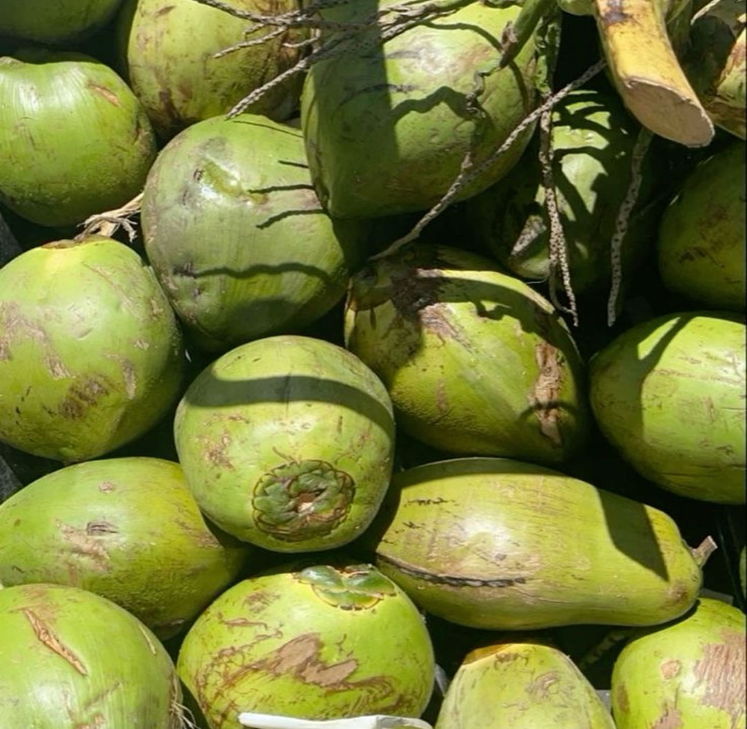 Tender Coconut